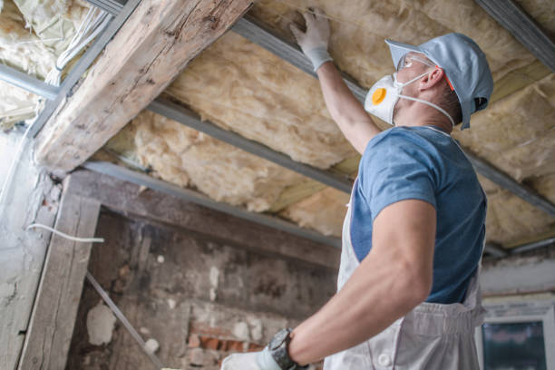 Best Residential Insulation in Prattville, AL